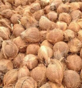 Cocofiber,coconut fiber, coco coir, cocopeat, coconut